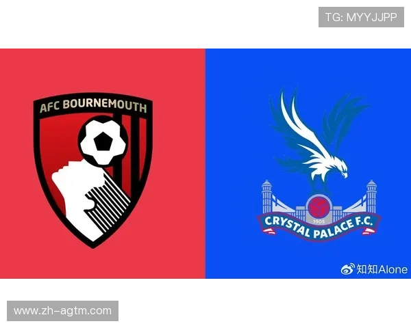 伯恩茅斯是否为英超球队及其联赛历程解析